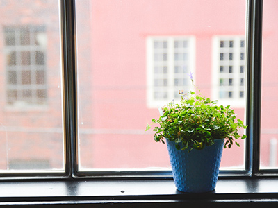 网络管理工具的ddos攻击防御手段